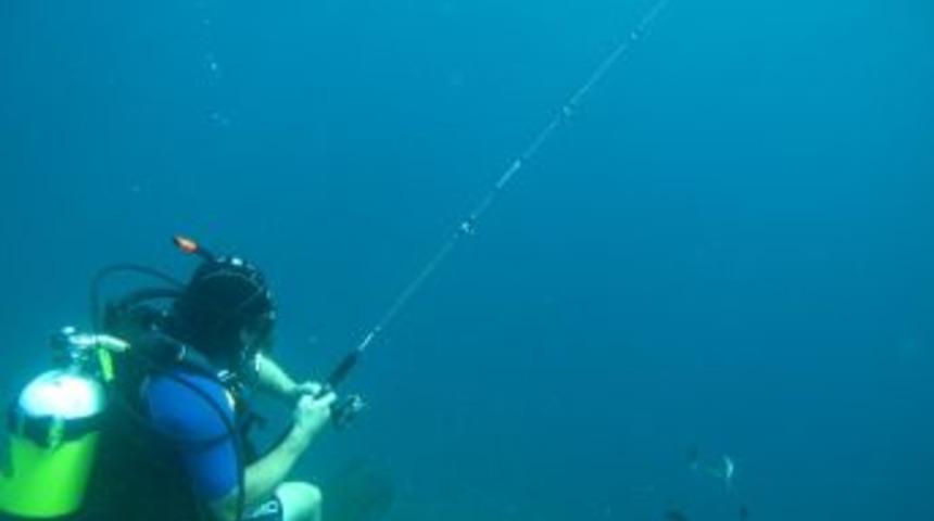 Balık Nesline &lsquo;amat&ouml;r Balık&ccedil;ı&rsquo; Tehdidi