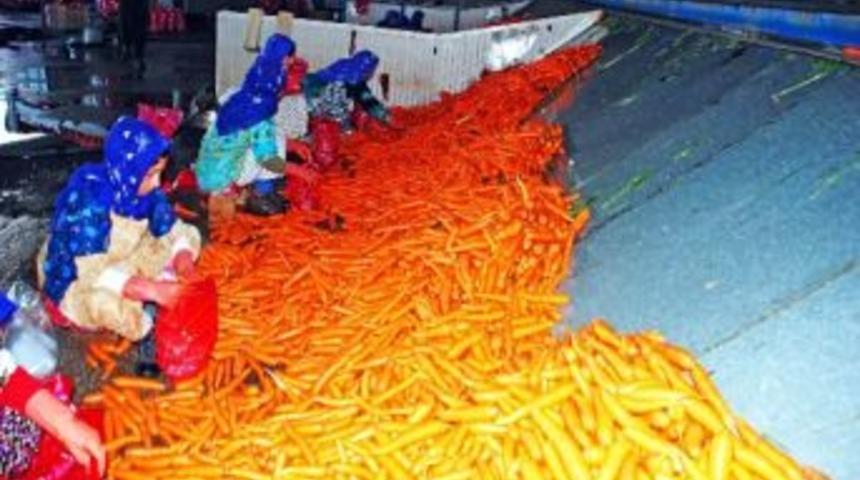 Havu&ccedil; &Uuml;reticisi Destekleme Primi İstiyor