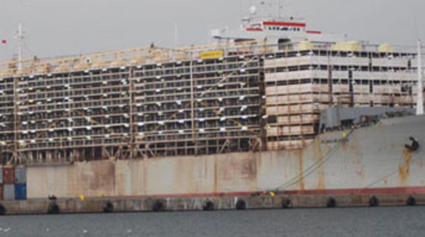 Denizin ortasında Angus oteli