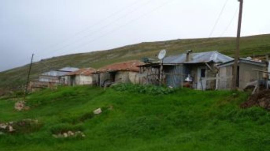 Olmayan İnekleri İ&ccedil;in Cezalandırılacak