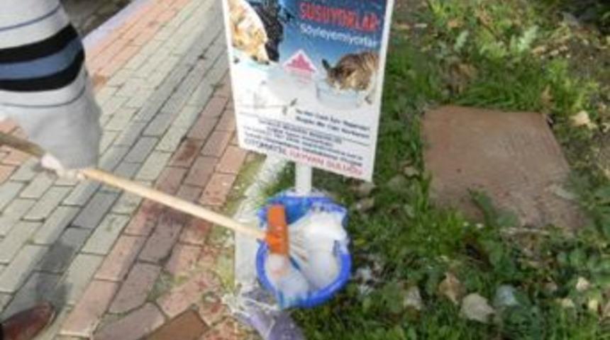 Sokak hayvanlarının su kapları temizlendi
