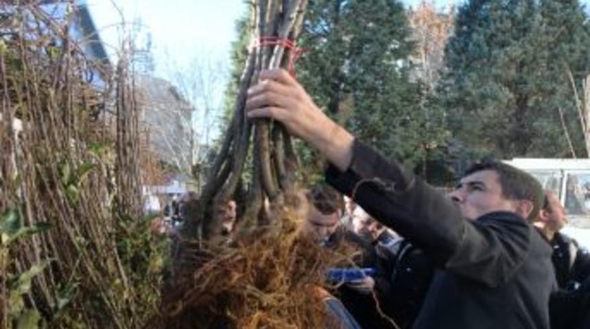 &Ccedil;ift&ccedil;ilere Fidan Dağıtıldı