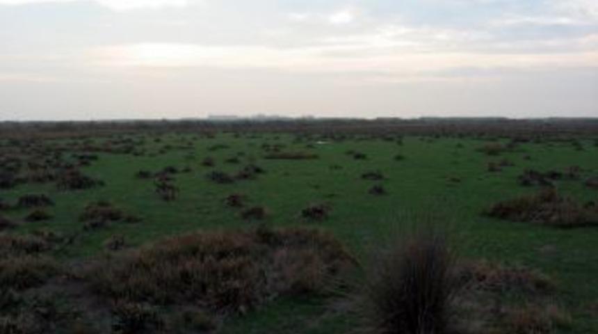 Doğa Derneği: Aziz Kocaoğlu, Kaş Yaparken G&ouml;z &Ccedil;ıkarmamalı