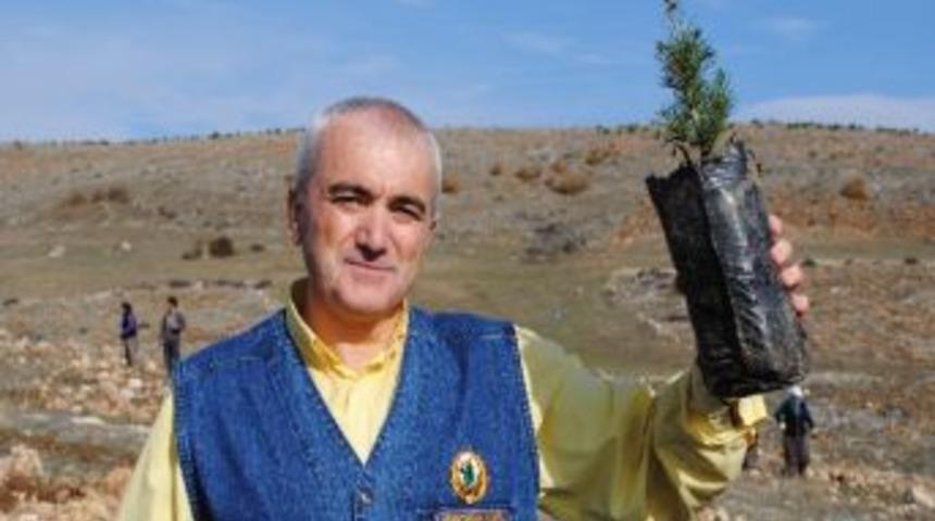 Fidanlar Anne Şefkatini Seviyor