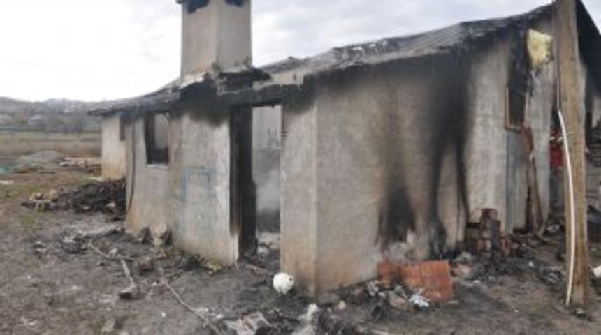 Tunceli'de Ahır Yangını: 12 Gebe Hayvan Telef Oldu