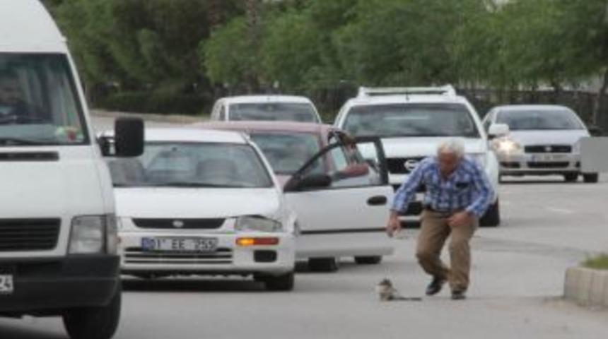 Yol Ortasındaki Kediyi Kurtarmak İ&ccedil;in Trafiği Durdurdu