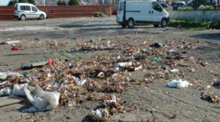 Batı Karadeniz'de Karayel Fırtınası &Ccedil;evre Kirliğine Neden Oldu