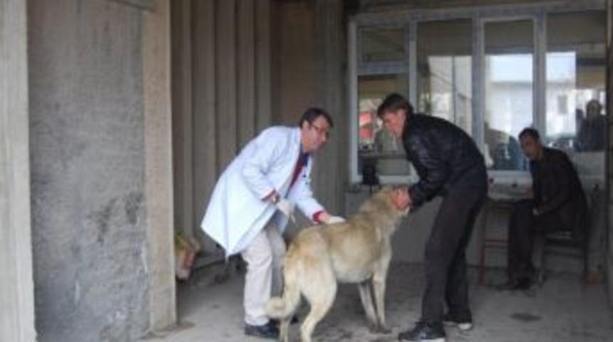 Nevşehir&rsquo;de Bir K&ouml;y&uuml;n Kuduz Vakası Nedeniyle Karantinaya Alınması