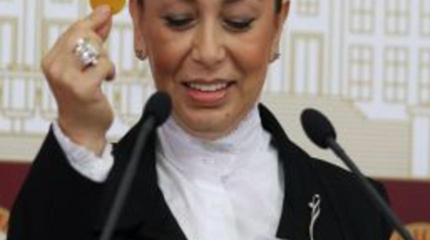 THY'de 'kayısı Ikramlı' U&ccedil;uşlar Bug&uuml;n Başladı