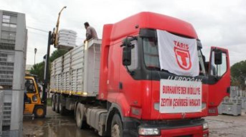 Yunanistan Burhaniye'nin Zeytin &Ccedil;ekirdekleriyle Isınacak