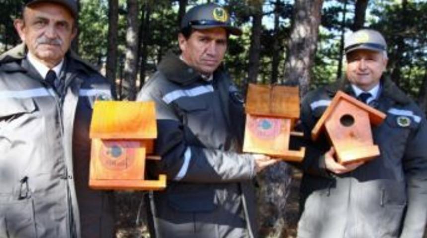 Bu Kez Yuvayı Orman Teşkilatı Yaptı
