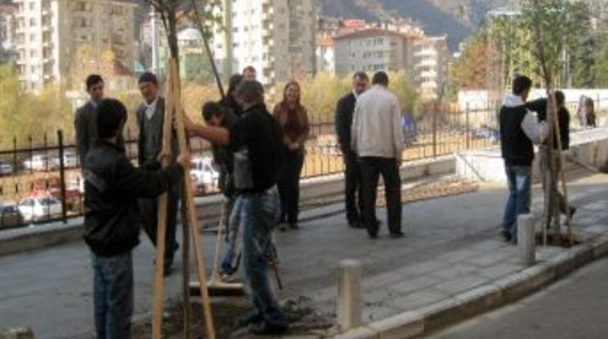 G&uuml;m&uuml;şhane&rsquo;de Caddeler Ağa&ccedil;landırılıyor