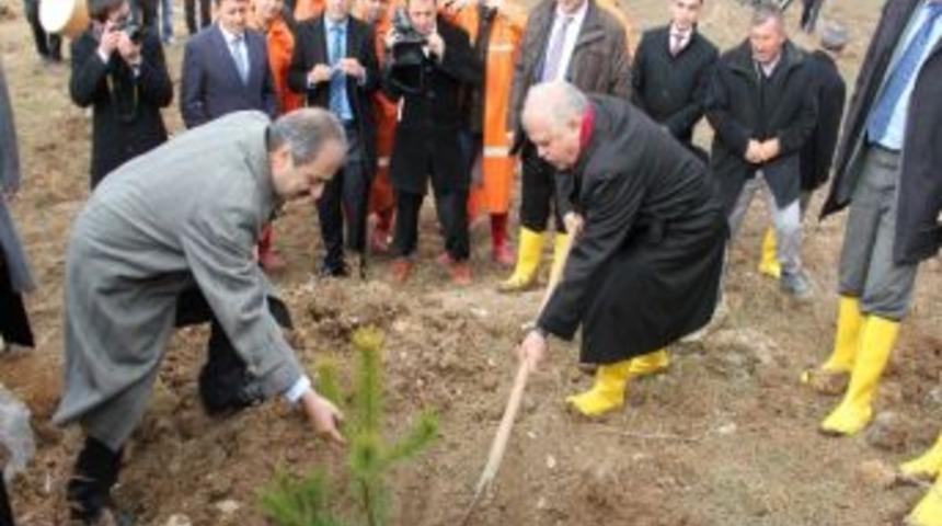 &Ccedil;ankırı&rsquo;da 18 Milyon Fidan Toprakla Buluşacak