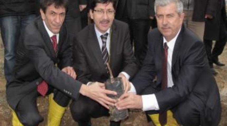 2 Bin Dekar Alana 170 Bin Ağa&ccedil; Fidanı Dikildi