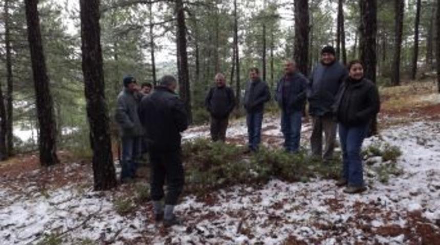 T&uuml;rkiye'deki Ormanların Haritası &Ccedil;ıkarılıyor