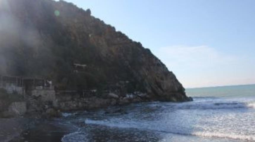 Hatay'da &Ouml;l&uuml; Akdeniz Foku Bulundu