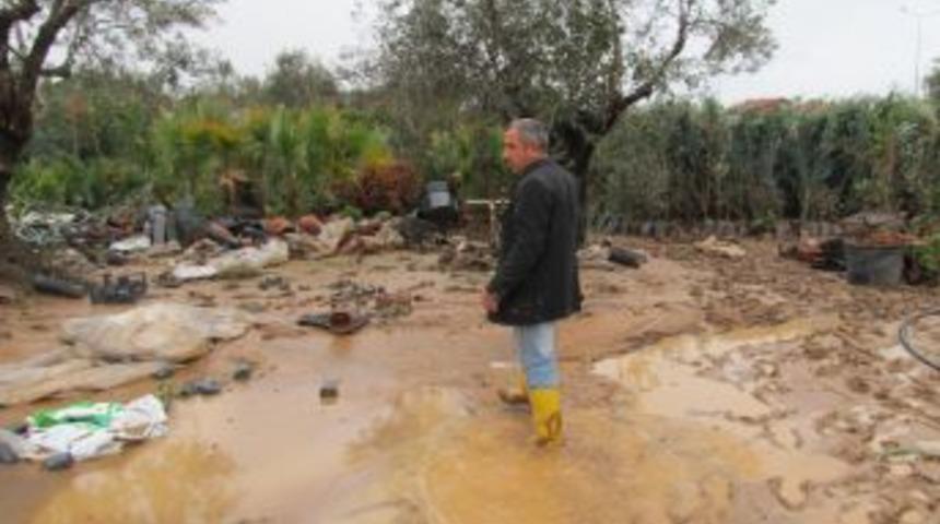 Balıkesir'de 600 Dekar Ekili Alan Zarar G&ouml;rd&uuml;