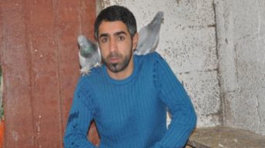 İnanılması G&uuml;&ccedil; G&uuml;vercin Tutkusu