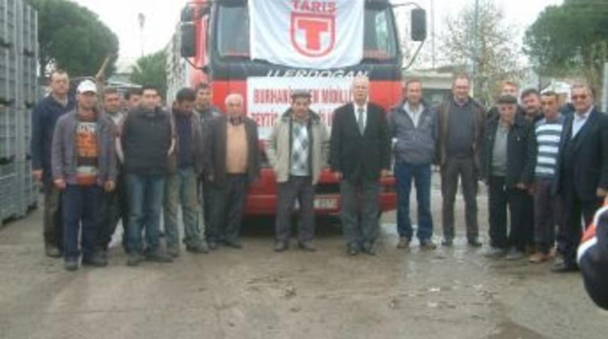 Zeytin &Ccedil;ekirdeği Yunanistan&rsquo;a İhra&ccedil; Ediliyor