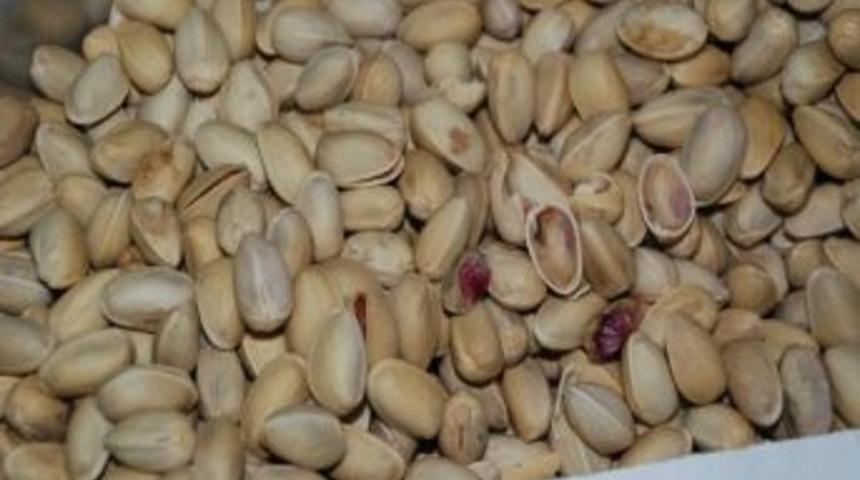 Borsada Fıstık İhalesi