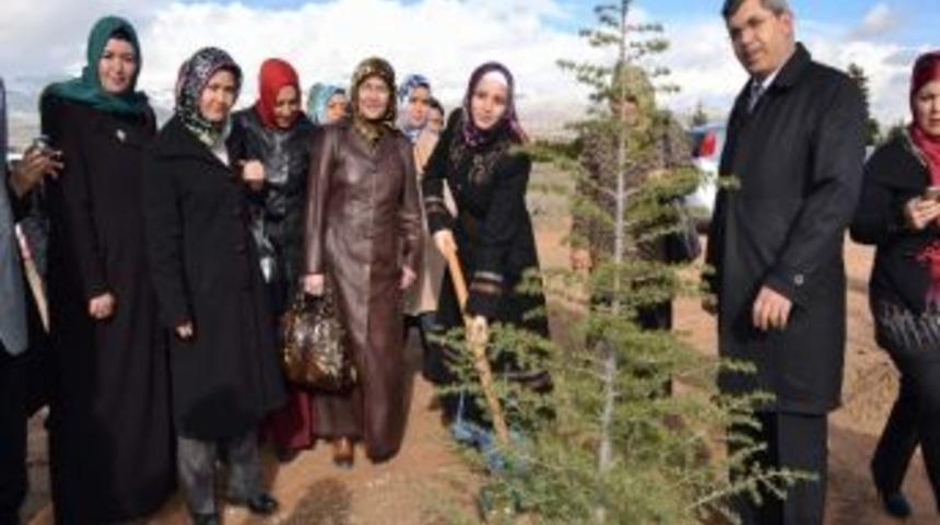 Bir Ağa&ccedil; Bin Nefes, Bir Kadın Bir Umut