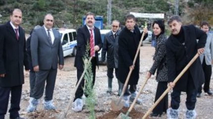 Ak Kadınlardan &lsquo;ak Orman&rsquo;