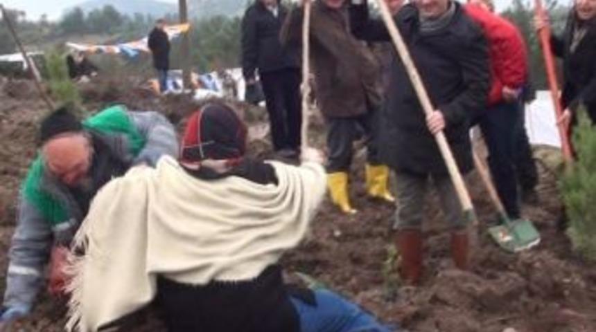 D&uuml;şe Kalka Fidan Diktiler