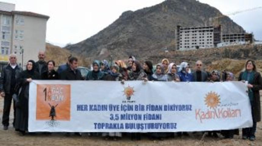 G&uuml;m&uuml;şhane&rsquo;de Kadınlar &ldquo;ak Ormanın&rdquo; İlk Fidanını Dikti