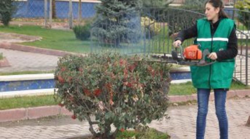 &Uuml;niversite &Ouml;ğrencilerinden &Ouml;rnek &Ccedil;alışma