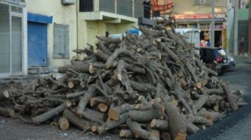 Havaların Soğuması Odun Satışlarını Arttırdı