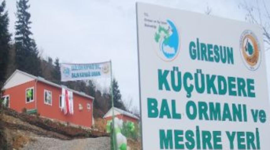 Arıcılar İ&ccedil;in Bal Ormanı Ve Mesire Yeri A&ccedil;ıldı