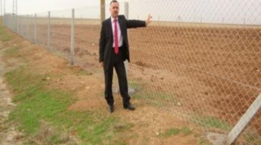 Mardin'de Organik Tarım Yaygınlaştı