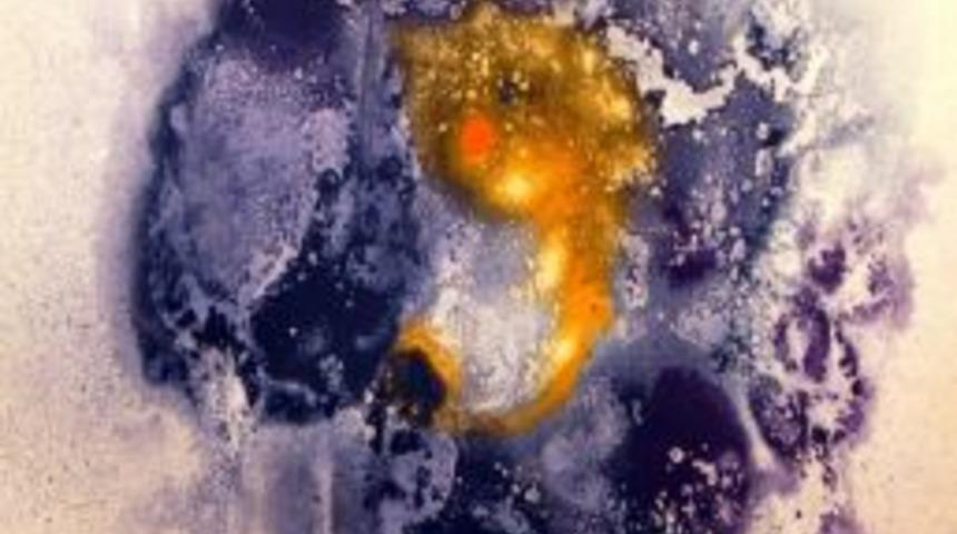 Ressam Arda&rsquo;nın Sergisi S&uuml;r&uuml;yor