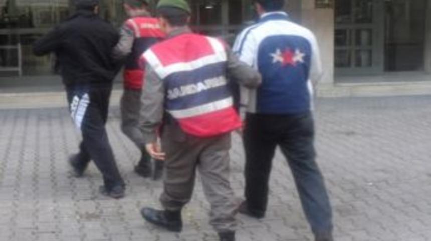 Koyunları &Ccedil;almak İ&ccedil;in &Ccedil;oban K&ouml;peğini &Ouml;ld&uuml;rd&uuml;ler