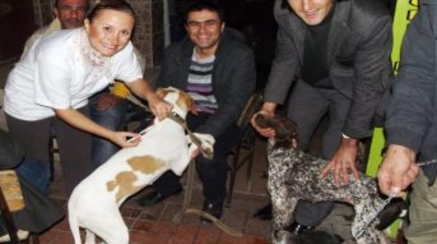 Edremit'te Av K&ouml;pekleri Aşılandı