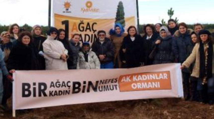 Ak Kadınlar Ormanlık Alana Fidan Dikti