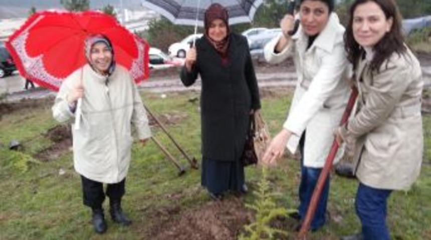 Ak Kadınlardan D&uuml;zce&rsquo;de &lsquo;ak Orman&rsquo;