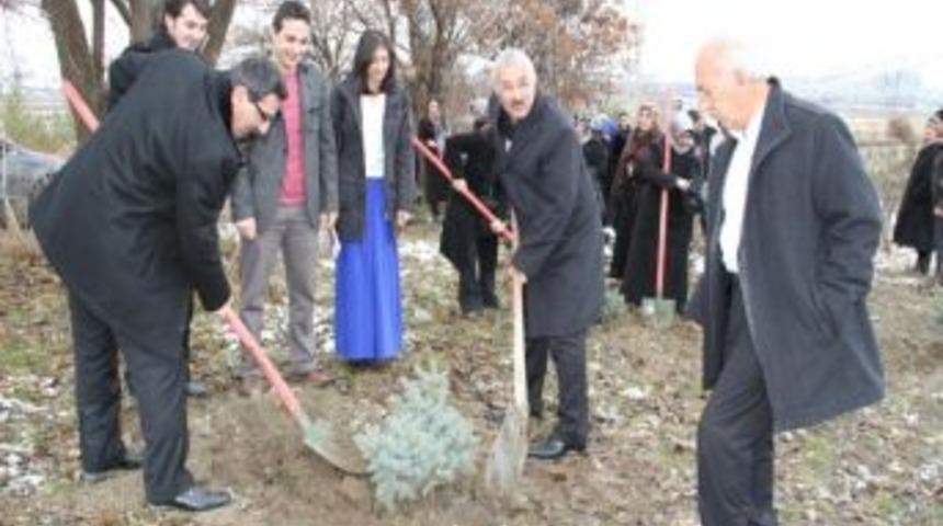 Ak Partili Kadınlar&rsquo;dan Ak Orman Projesi