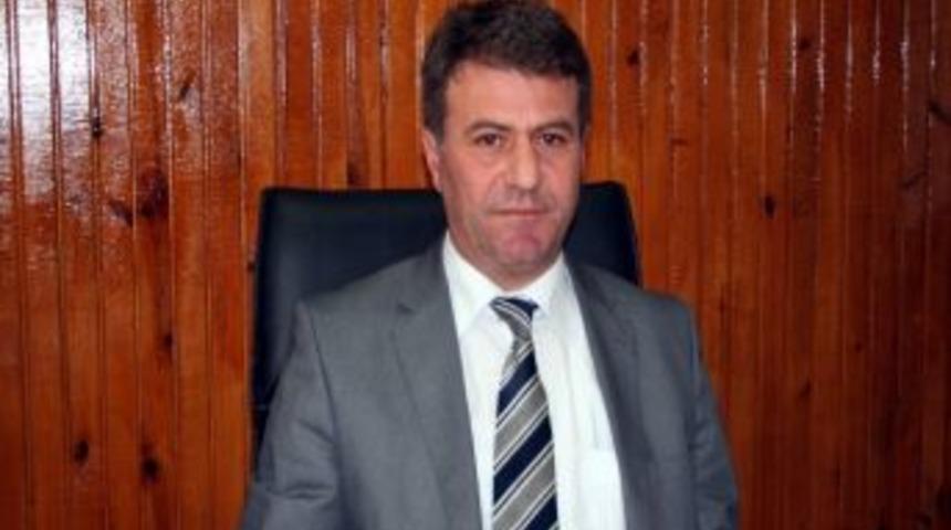 Sarıkamış&rsquo;ta Ayı Yavrusunu &Ouml;ld&uuml;renlerin Yakalanması İ&ccedil;in &Ccedil;alışma Başaltıldı