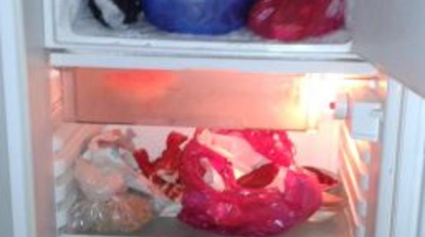 Buz Dolabında Yaban Ke&ccedil;isi Eti Bulunan K&ouml;yl&uuml;ye 13 Bin TL Ceza Kesildi