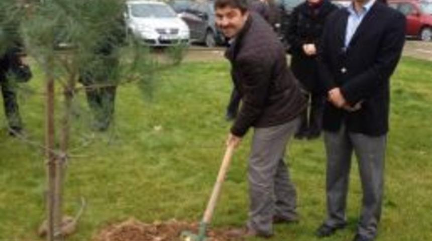 Trabzon'da 'Ak Kadınlar Ormanı' Oluşturuldu