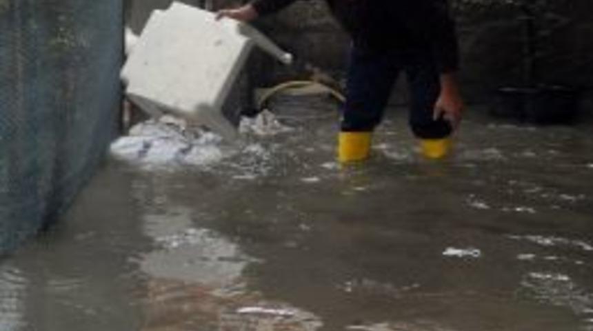Yalova'da Sağanak Yağış Hayatı Fel&ccedil; Etti