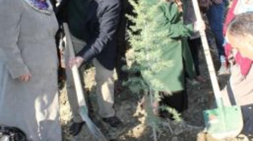 &ldquo;ak Kadınlar Ormanı&rdquo; Oluşturuldu