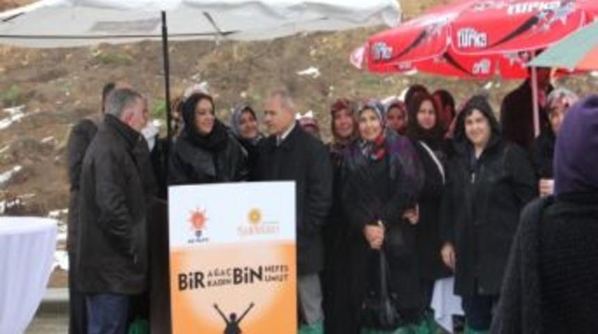 Ak Partili Kadınlar Orman Oluşturdu