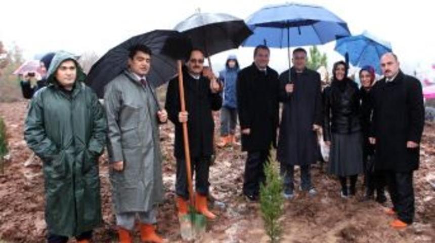 &ldquo;81 İlde 81 Ak Orman&rdquo; Projesi Ger&ccedil;ekleştirildi