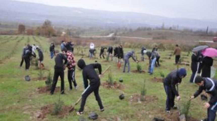 Yenice&rsquo;de 4 Bin Fidan Toprakla Buluştu