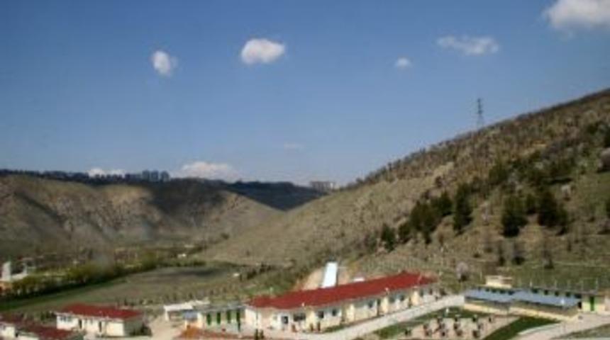 &Ccedil;ankaya Belediyesi Sahipsiz Hayvan Barınağı Kışa Hazır