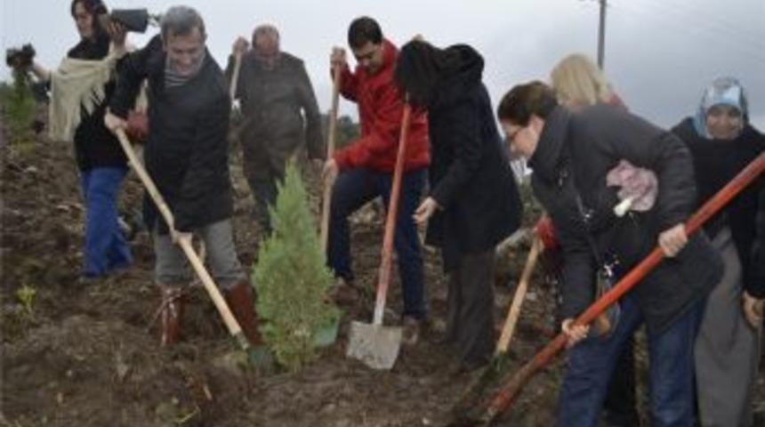 AK Parti &Ccedil;anakkale İl Kadın Kolları 12 Bin Ağa&ccedil; Dikti