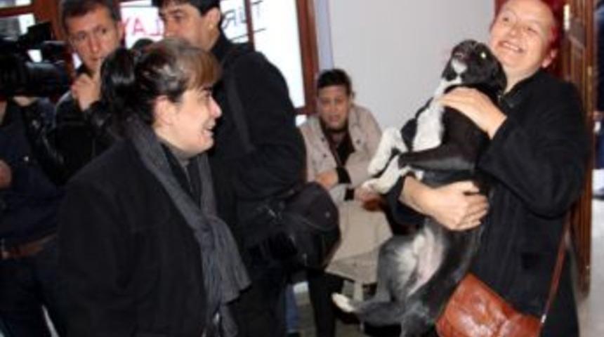 Hayvanseverleri Bile Şaşırtan K&ouml;pek