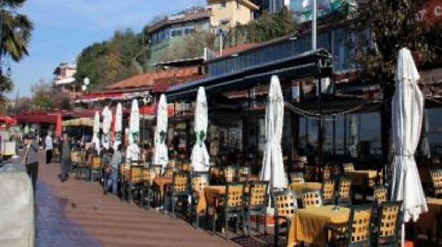 38 Yıllık S&ouml;ğ&uuml;t Ağacı Yanlışlıkla Kesildi